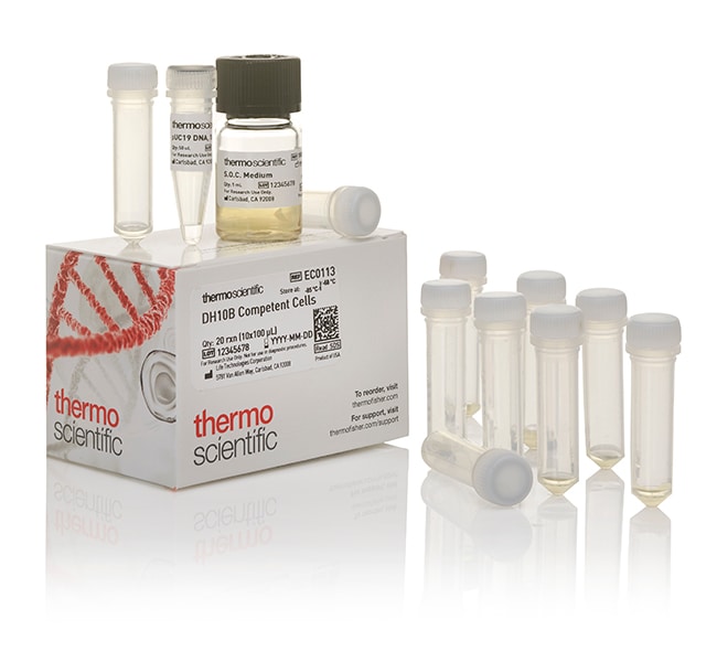 Thermo Scientific&trade;&nbsp;Cellules compétentes DH10B ; haute efficacité