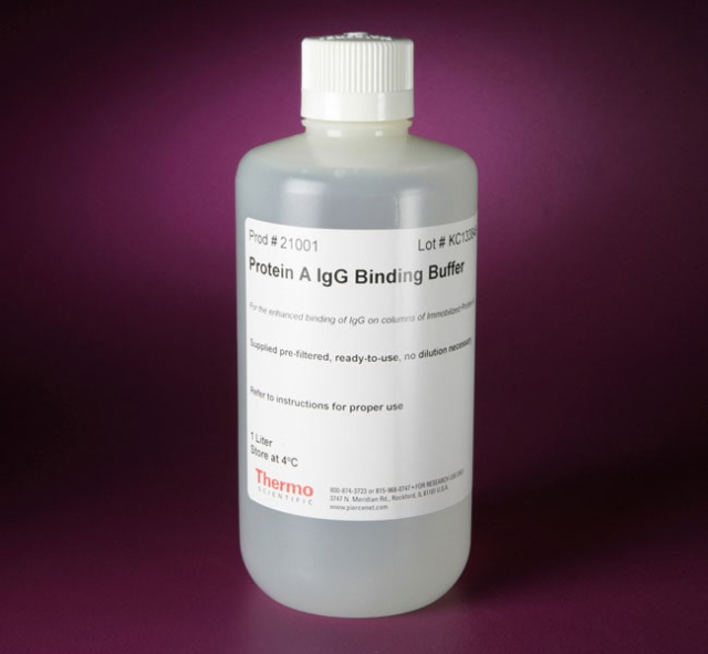 Thermo Scientific&amp;trade;&amp;nbsp;Pierce&amp;trade; Protein A IgG Binding Buffer