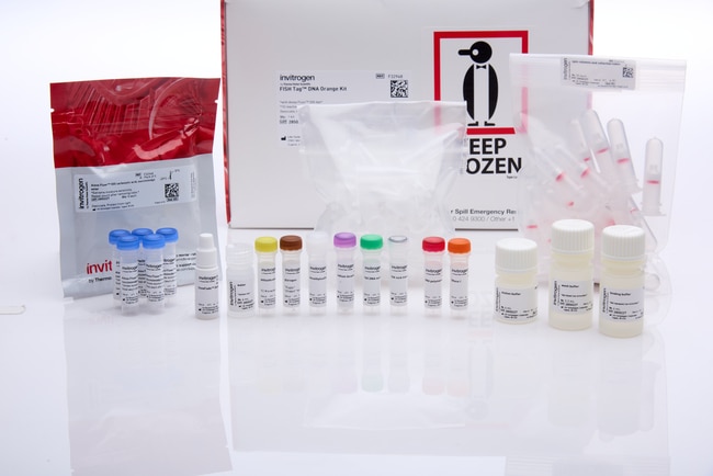 Molecular Probes™ FISH Tag™ DNA Orange Kit, with Alexa Fluor™ 555 dye