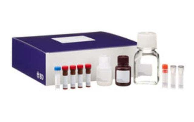 BD&amp;nbsp;Kit de démarrage pour coloration de CytoKine intracellulaire humaine