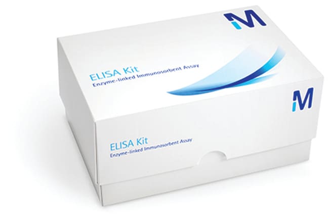 Merck&nbsp;Substrat HRP ELISA Luminata Forte