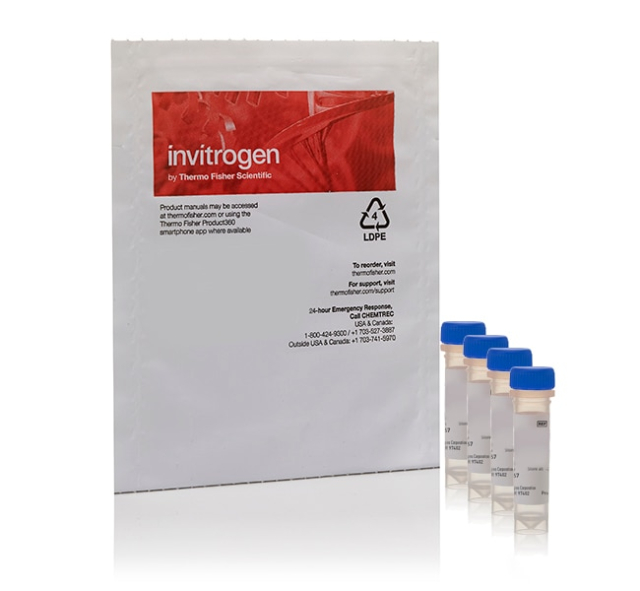 Invitrogen&amp;trade;&amp;nbsp;PS-Speck&amp;trade; Microscope Point Source Kit (blue, green, orange &amp;amp; deep-red fluorescent beads)