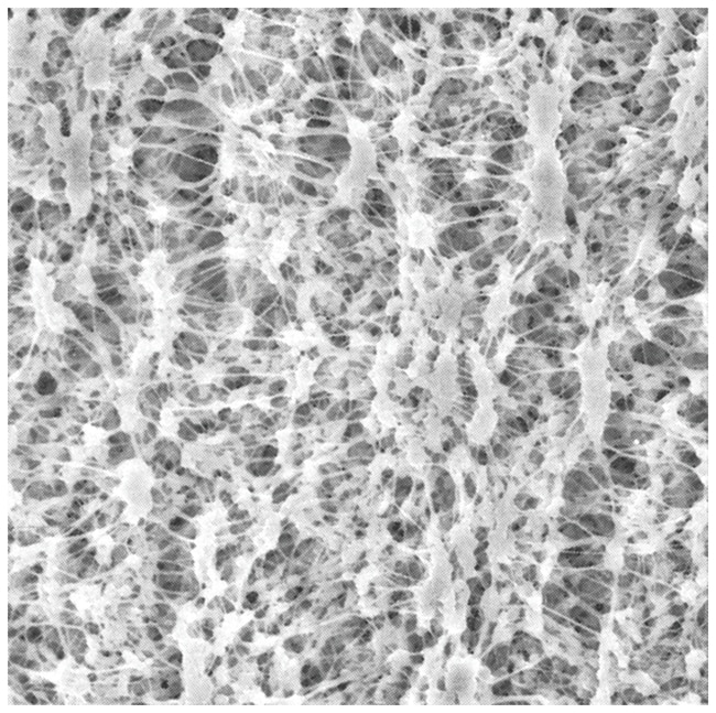 Merck&nbsp;Filtre à membrane uni en PTFE Omnipore&trade;