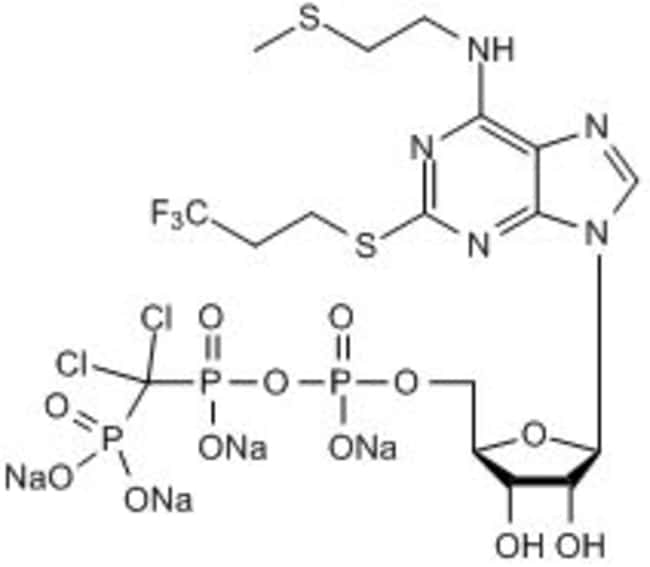 Tocris Bioscience&trade;&nbsp;AR-C 69931 Tetrasodium Salt