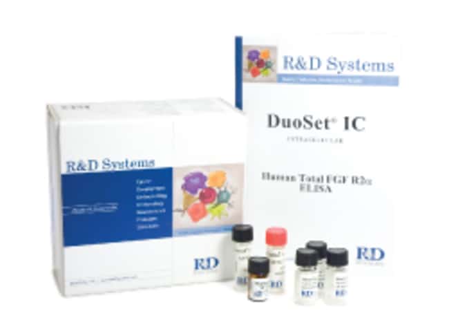 Human Phospho-VEGFR1/Flt-1 DuoSet IC ELISA