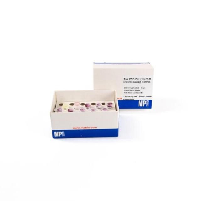 MP BIOMEDICALS&nbsp;Taq DNA Polymerase