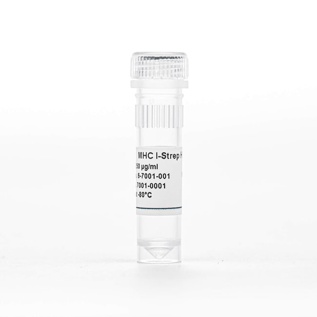 IBA Lifesciences&nbsp;MHC I-Strep HLA-B&ast;0702 ; CMV pp65 (TPRVTGGGAM)