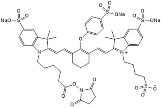 Tocris Bioscience&trade;&nbsp;IRDye&trade; 800CW, NHS ester