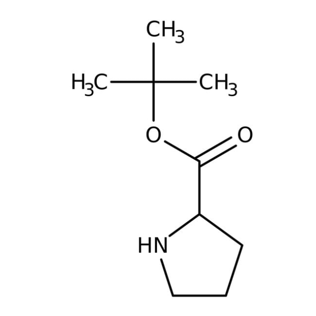  Ester tert-butylique de L-proline, 98 %, Thermo Scientific Chemicals