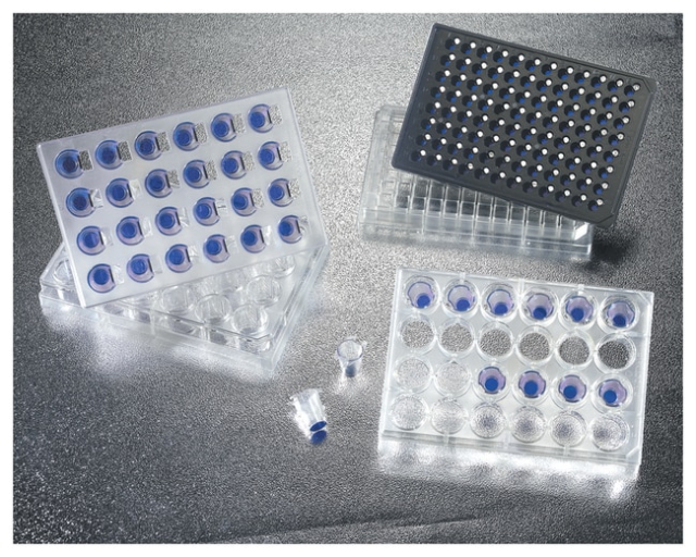 Falcon&amp;trade;&amp;nbsp;Supports perméables à 24 puits et plaques d’accompagnement FluoroBlok&amp;trade;