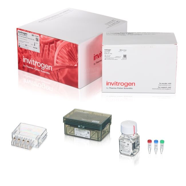 Invitrogen™ Neon™ NxT Electroporation System 10 μL Kit with 8-Channel Tubes