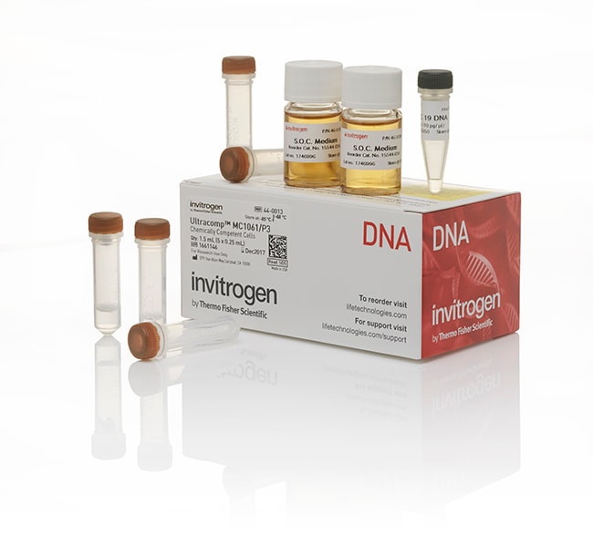 Invitrogen™ MC1061/P3 Chemically Competent <i>E. coli</i>