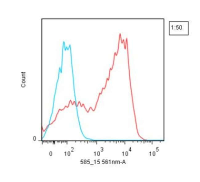 Novus Biologicals&amp;trade;&amp;nbsp;Lightning-Link (R) B-Phycoerythrin Antibody Labeling Kit