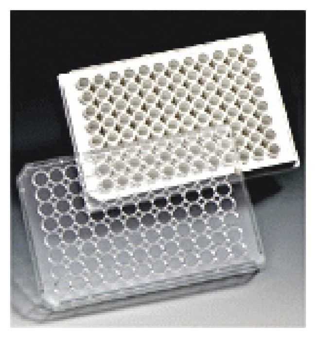 Corning™ Plaques multipuits BioCoattrade; Collagen I