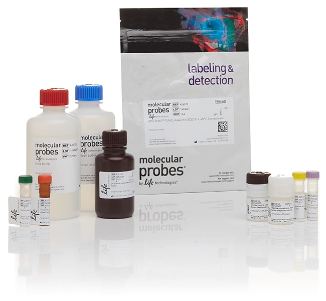 Molecular Probes&trade;&nbsp;APO-BrdU&trade; TUNEL Assay Kit, with Alexa Fluor&trade; 488 Anti-BrdU