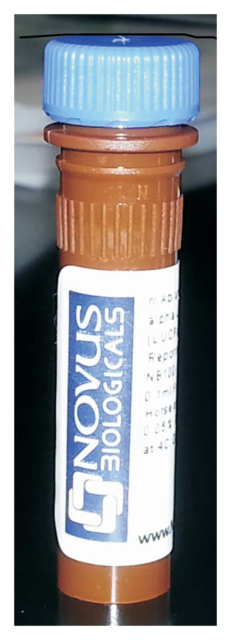 Novus Biologicals&amp;trade;&amp;nbsp;QSOX2 Recombinant Protein Antigen