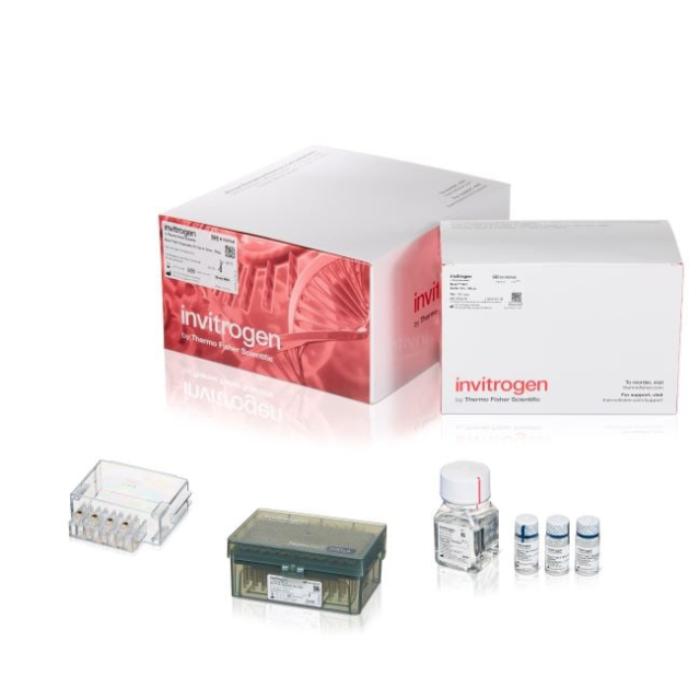 Invitrogen&trade;&nbsp;Neon&trade; NxT Electroporation System 100 &mu;L Kit with 8-Channel Tubes