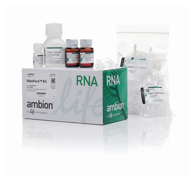 Invitrogen&amp;trade;&amp;nbsp;RiboPure&amp;trade; RNA Purification Kit