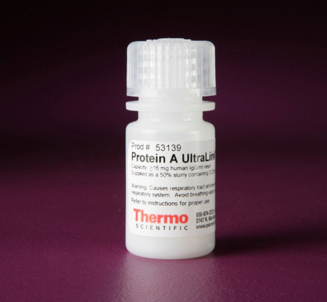 Thermo Scientific&amp;trade;&amp;nbsp;Pierce&amp;trade; Protein A UltraLink&amp;trade; Resin