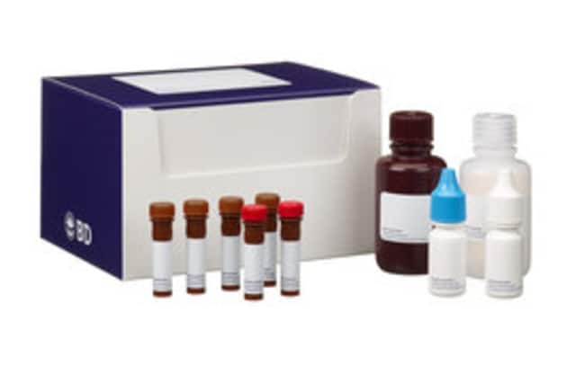 BD Kit d’analyse de cellules souches pluripotentes humaines et de souris