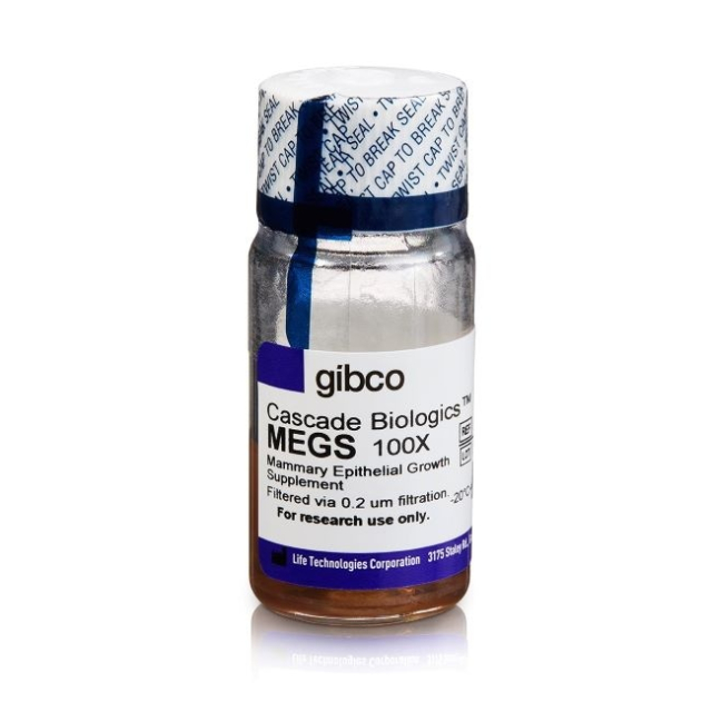 Gibco&trade;&nbsp;Mammary Epithelial Growth Supplement (MEGS)