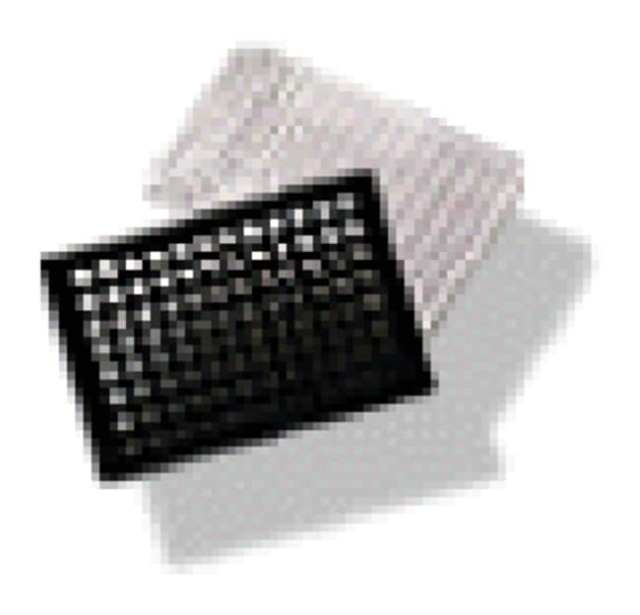  Corning™ Plaques multipuits BioCoattrade; Collagen I