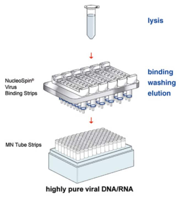 Macherey-Nagel Bioanalysis&amp;trade;&amp;nbsp;NucleoSpin&amp;trade; 8 Virus, 8-Well Kit