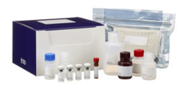 BD&amp;nbsp;Kit II ELISA pour IL-10 humaine