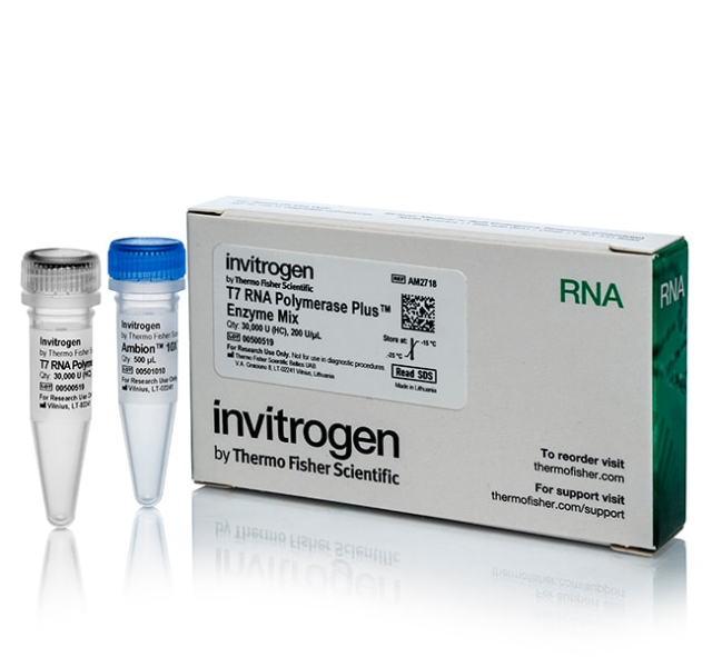 Invitrogen&amp;trade;&amp;nbsp;T7 RNA Polymerase-Plus&amp;trade; Enzyme Mix (200 U/&amp;mu;L)