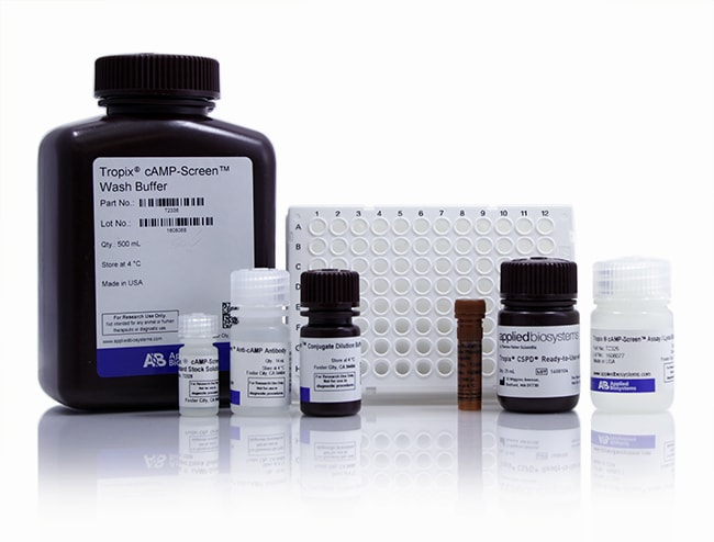 Applied Biosystems&trade;&nbsp;cAMP-Screen&trade; Cyclic AMP Immunoassay System