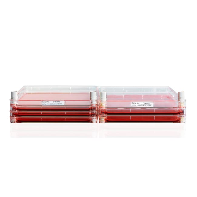 Thermo Scientific&trade;&nbsp;Systèmes Nunc&trade; Cell Factory&trade; haute densité