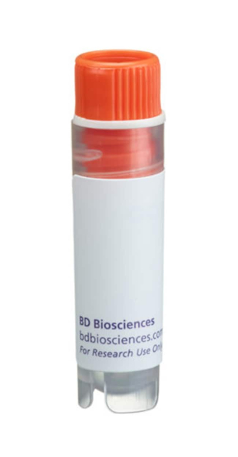 BD&amp;nbsp;anti-IL-12 p70, R-PE, Clone : 20C2