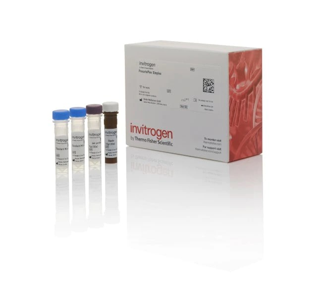 Invitrogen™ p38[pT180/pY182] Human ProcartaPlex™ Simplex Kit