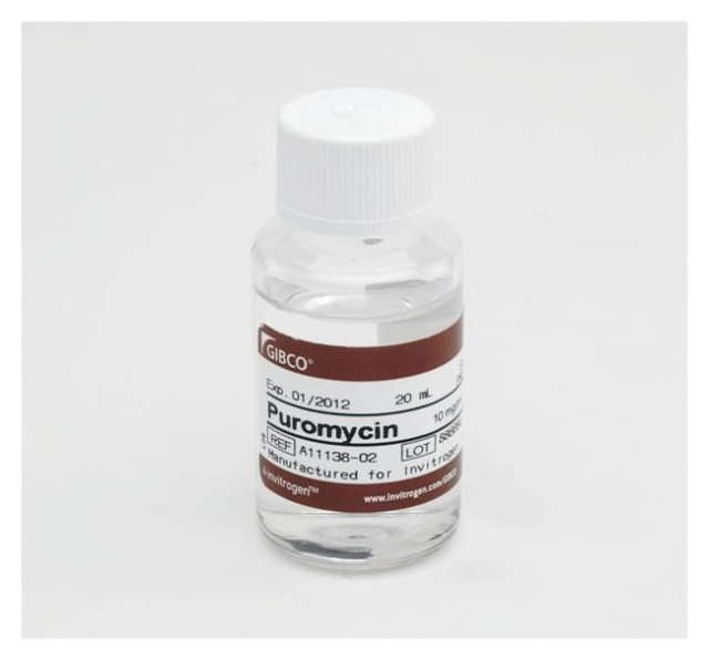 Gibco&amp;trade;&amp;nbsp;Puromycine dichlorhydrate