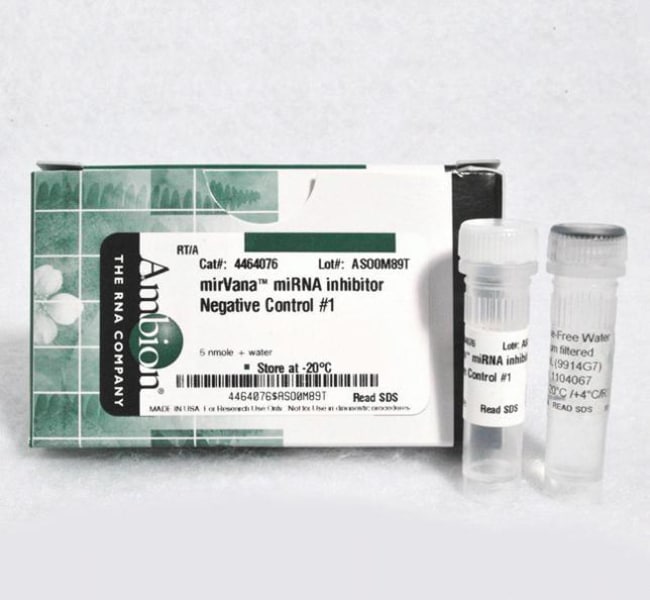 Invitrogen™ <i>mir</i>Vana™ miRNA Inhibitor, Negative Control #1