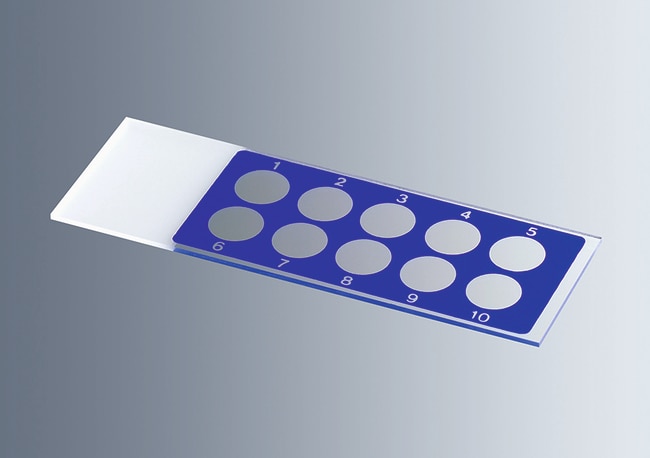 Marienfeld Superior™ Lames porte-objets de diagnostic avec puits à réaction