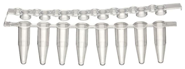 Labcon™ Barrettes de tubes PCR à 8 puits de 0,2 ml PurePlus™ avec barrettes de bouchons fixés