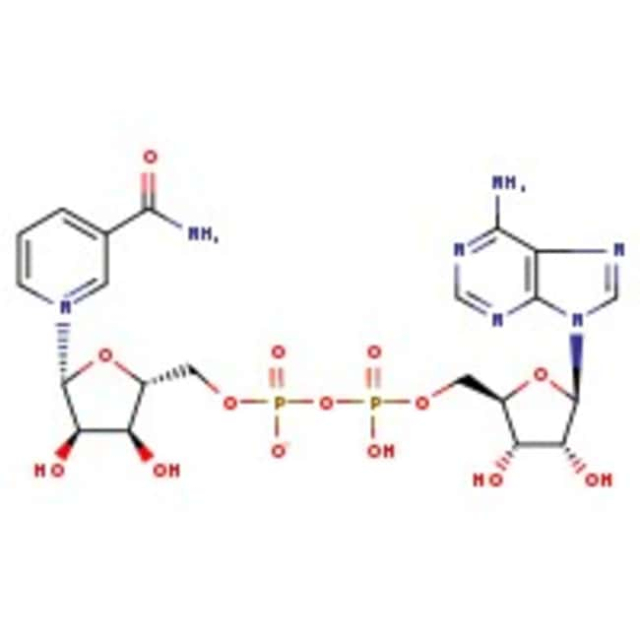  β-nicotinamide adénine dinucléotide hydraté, 98+ %, Thermo Scientific Chemicals