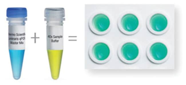 Thermo Scientific&amp;trade;&amp;nbsp;Luminaris Color HiGreen qPCR Master Mix, fluorescein