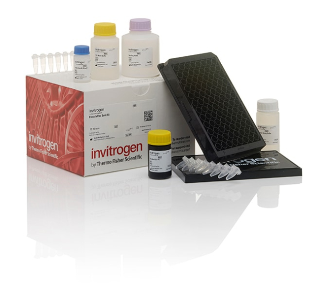 Invitrogen&amp;trade;&amp;nbsp;Kit d’anticorps neutralisant de SARS-CoV-2 Spike Omicron (B.1.1.529) humain Simplex ProcartaPlex&amp;trade;