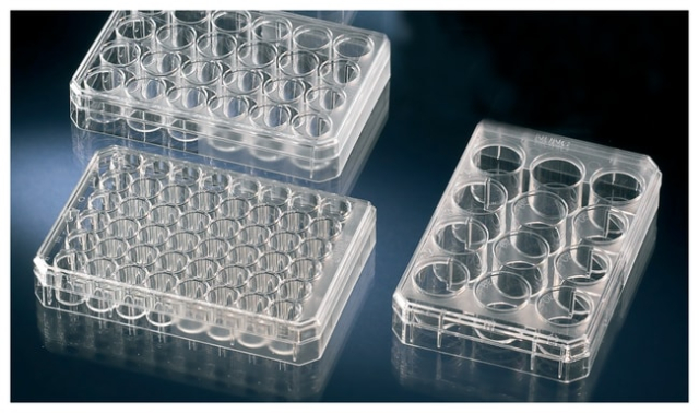 Thermo Scientific&amp;trade;&amp;nbsp;Nunc&amp;trade; Multidishes with HydroCell&amp;trade; Surface