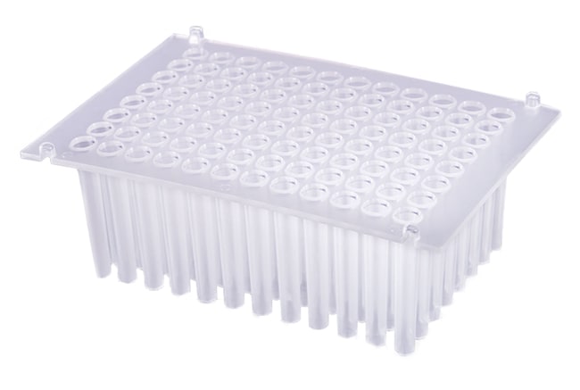 Ritter Plastic&trade;&nbsp;Microplaque à 96 puits résistante pour séparation magnétique à fond en V, 2,0 ml, Riplate&trade;