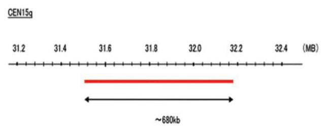 Abnova&amp;trade;&amp;nbsp;Sonde CEN15q (R6G) FISH