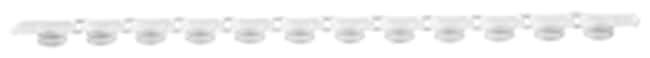 Axygen&trade;&nbsp;Tubes PCR à 12 barrettes