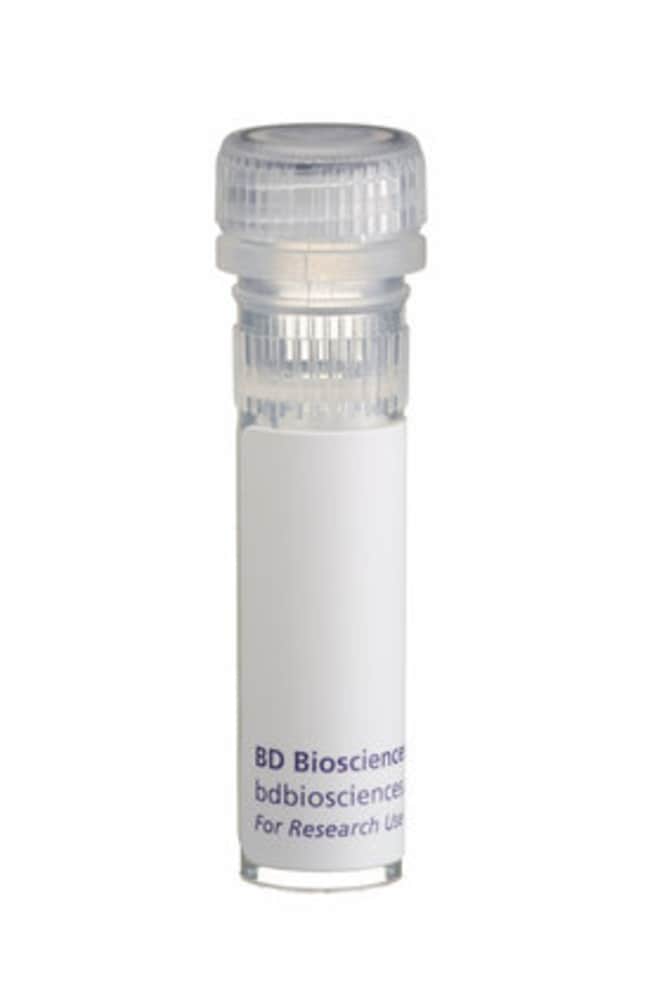 BD&nbsp;GM-CSF recombinant de rat