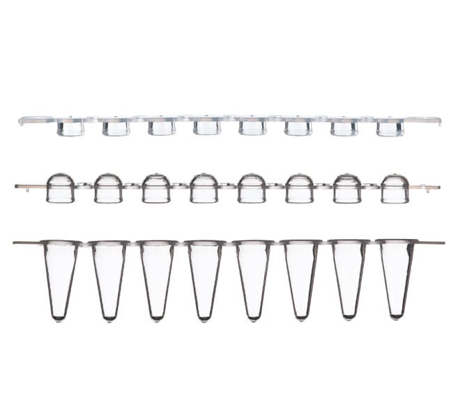 Thermo Scientific™ Low Profile Tubes and Domed Caps, strips of 8, Sustain™ Series