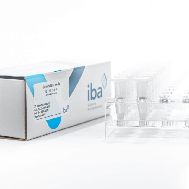 IBA Lifesciences&amp;nbsp;E. coli TOP10 compétentes