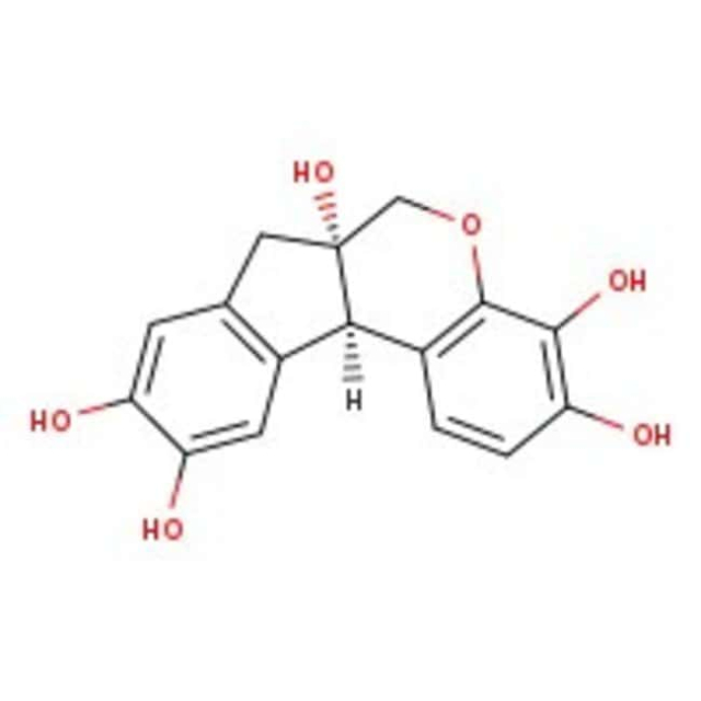  Thermo Scientific Chemicals Hématoxyline, 85 %