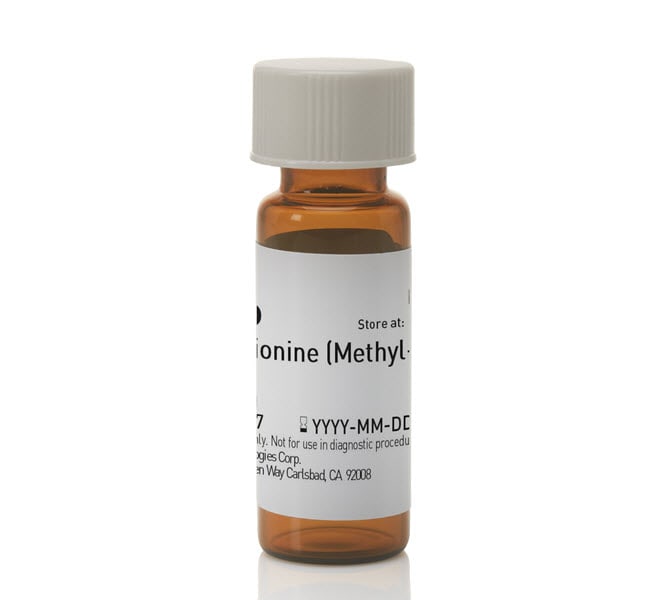 Gibco&trade;&nbsp;L-méthionine (méthyle-<sup>13</sup>C)