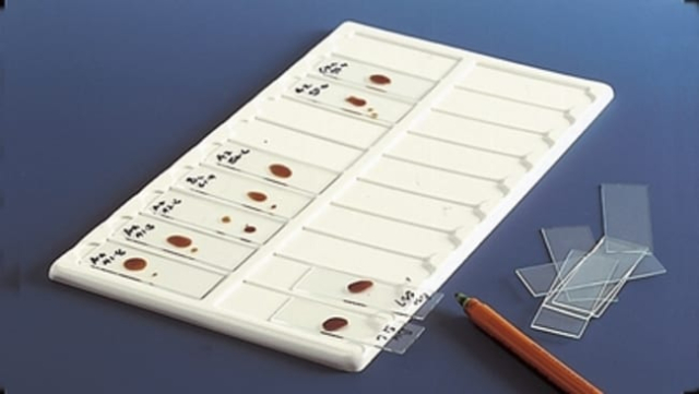 Kartell&amp;trade;&amp;nbsp;Plateau en PVC pour lames de microscope